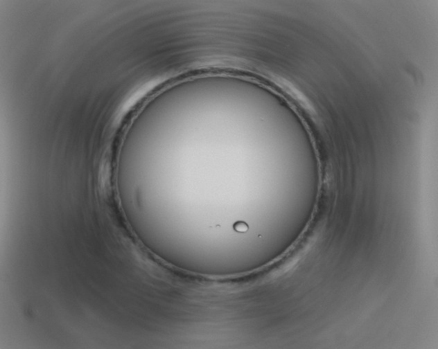 X0000114570877200910191031