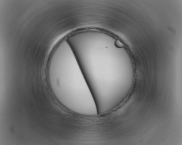 X0000114570879200910191031