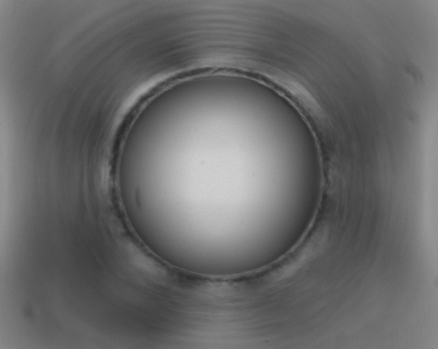 X0000114570880200910191031
