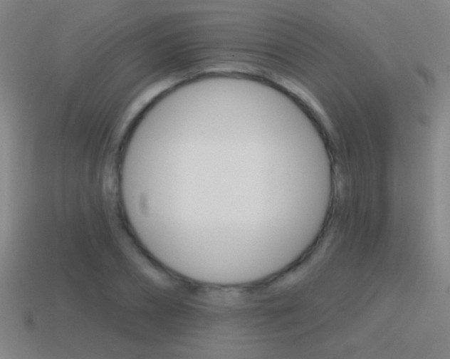 X0000114570882200910191031