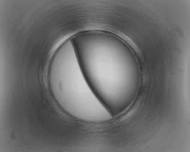 X0000114570885200910191031