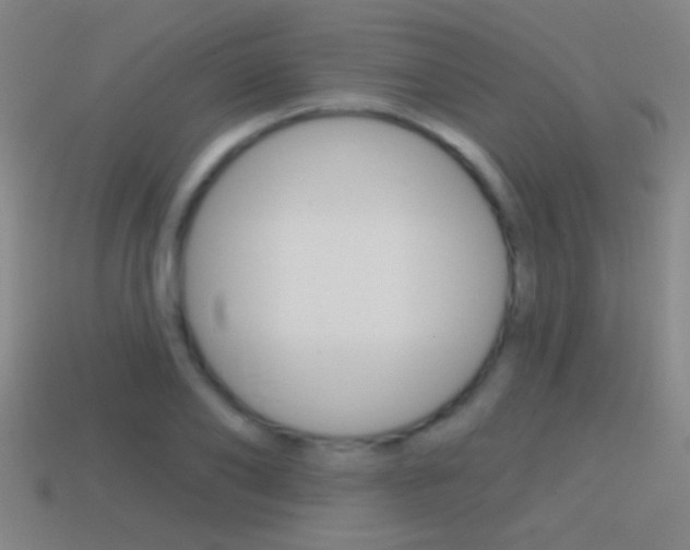 X0000114570886200910191031
