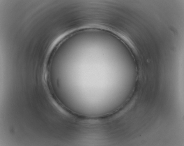 X0000114570888200910191031