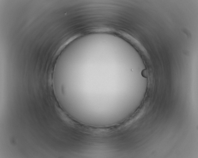 X0000114570889200910191031