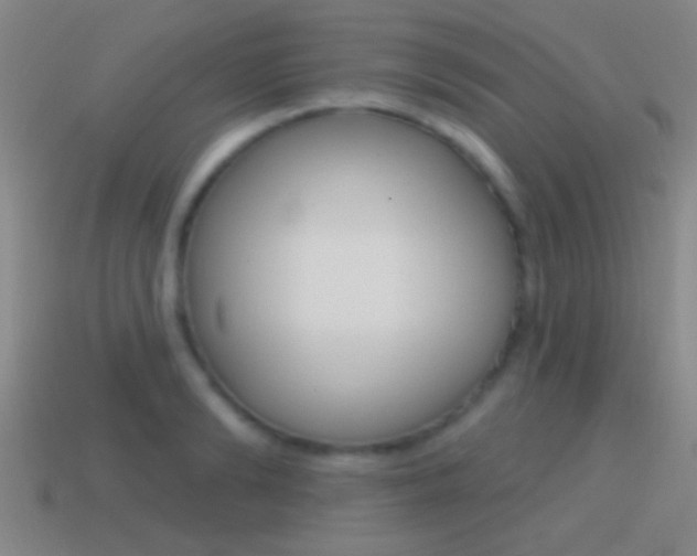 X0000114570894200910191031