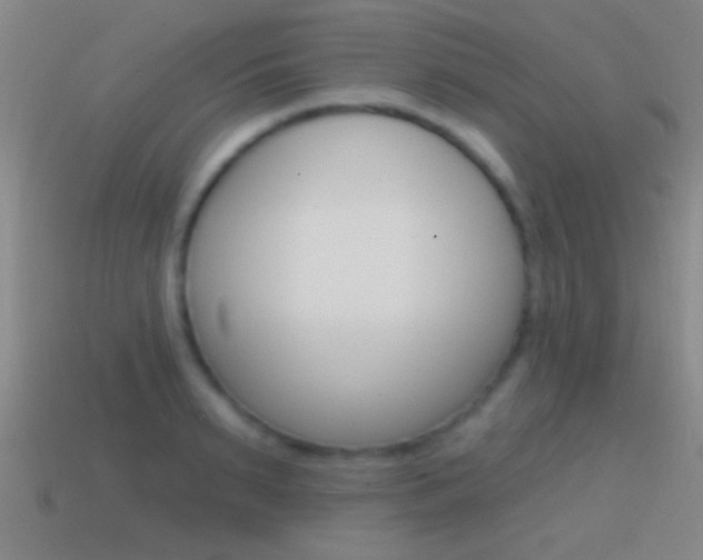 X0000114570895200910191031