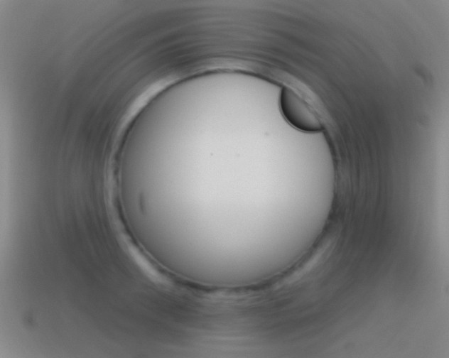 X0000114570898200910191031