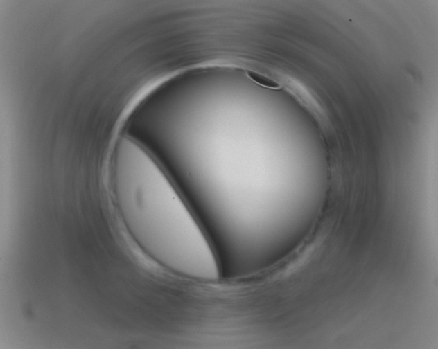 X0000114570900200910191031