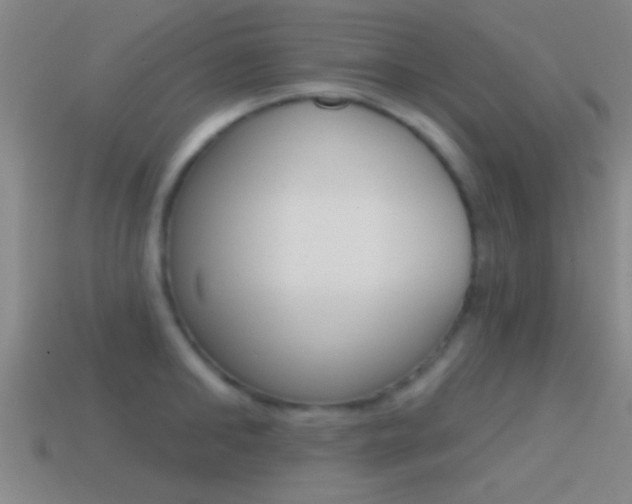 X0000114570902200910191031