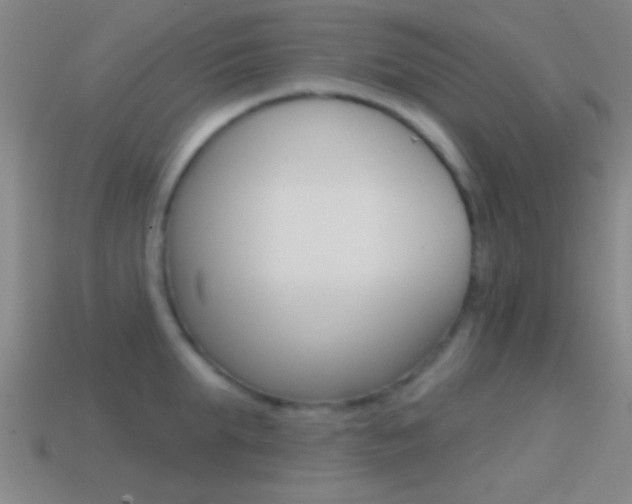 X0000114570903200910191031