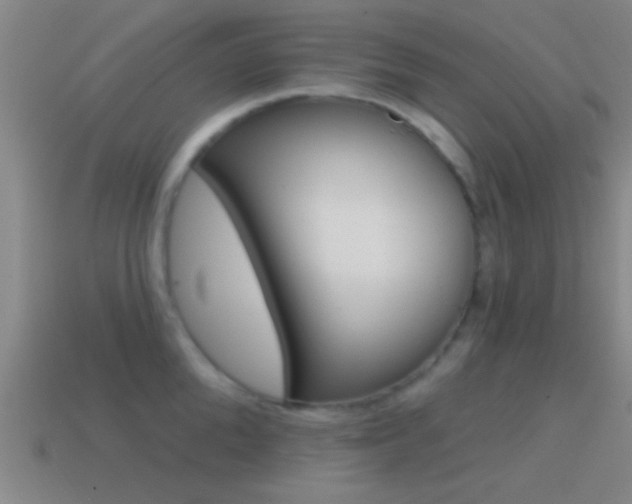 X0000114570904200910191031