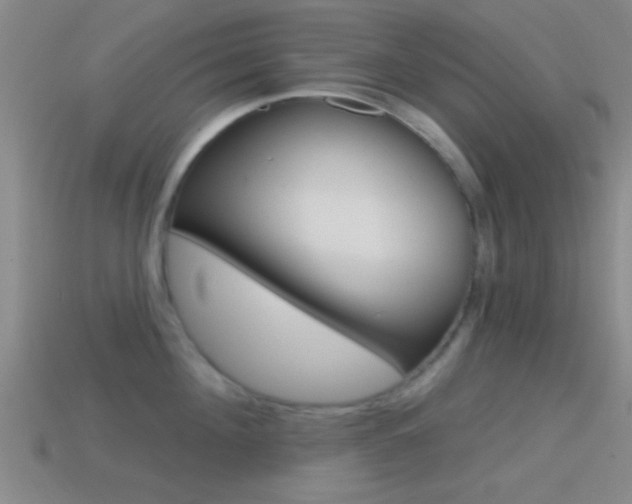 X0000114570908200910191031
