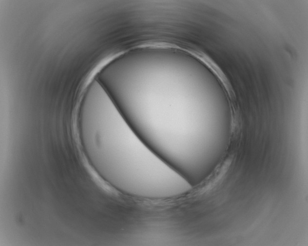 X0000114570909200910191031