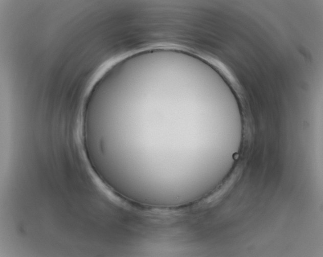 X0000114570910200910191031