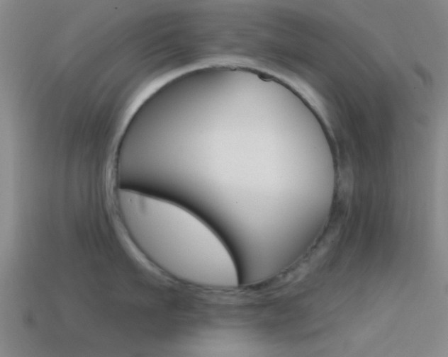 X0000114570911200910191031