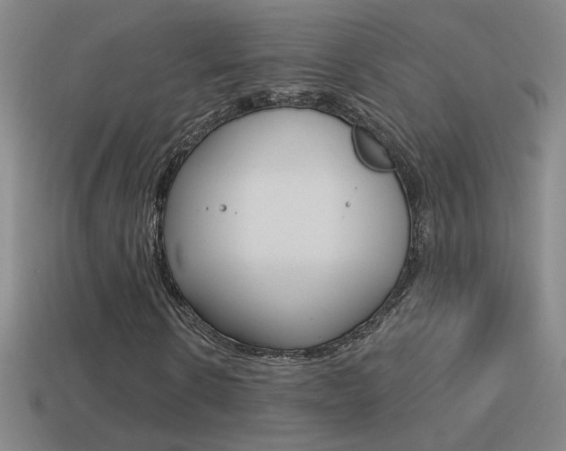 X0000114570914200910191030
