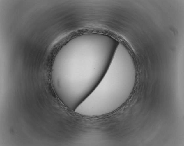 X0000114570919200910191030