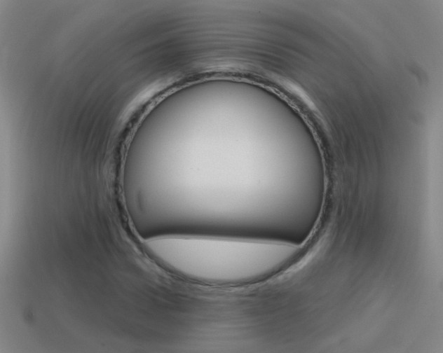 X0000114570922200910191030