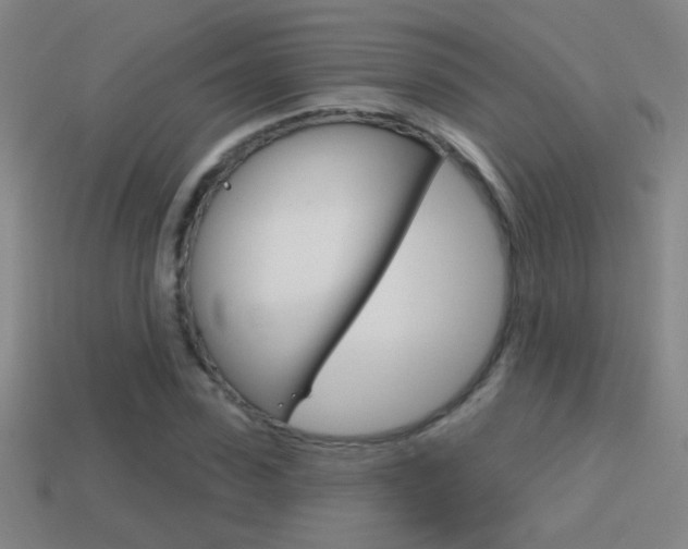 X0000114570923200910191030