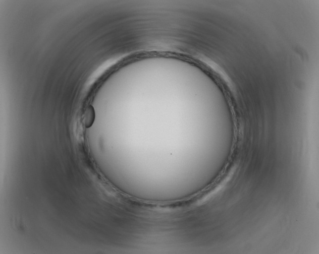 X0000114570925200910191030