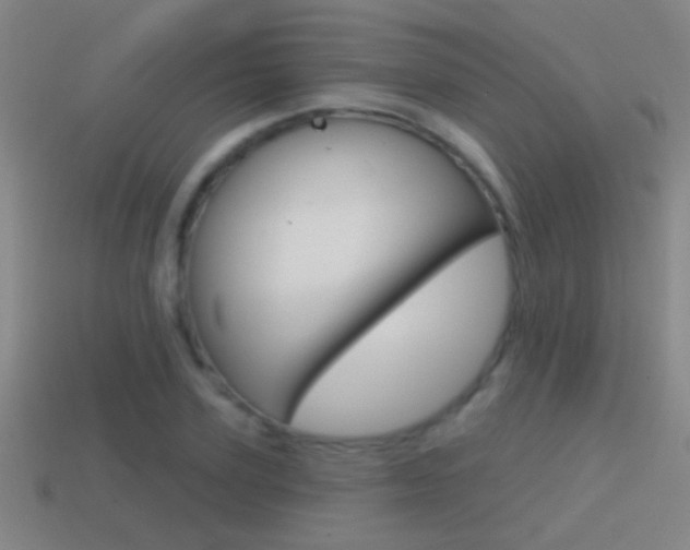 X0000114570931200910191030