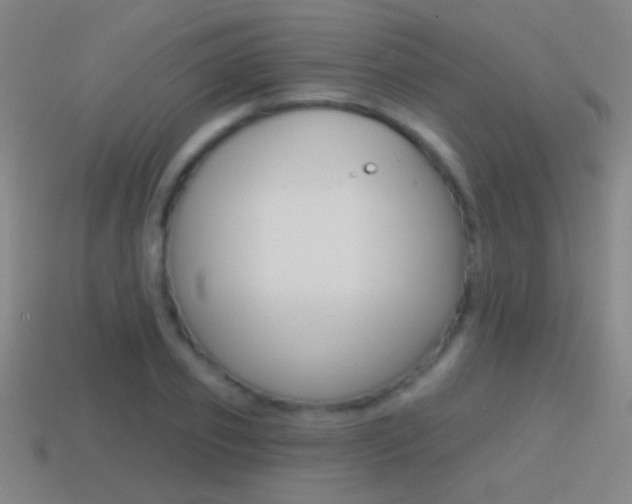 X0000114570933200910191030