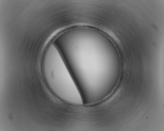 X0000114570934200910191030