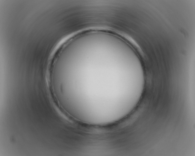 X0000114570935200910191030