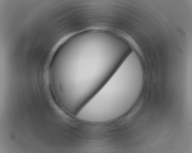 X0000114570939200910191030