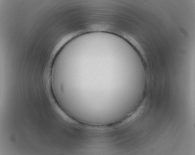 X0000114570941200910191030
