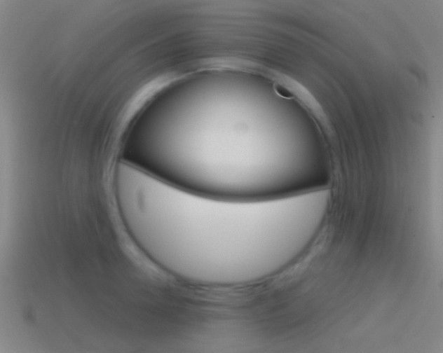 X0000114570946200910191030