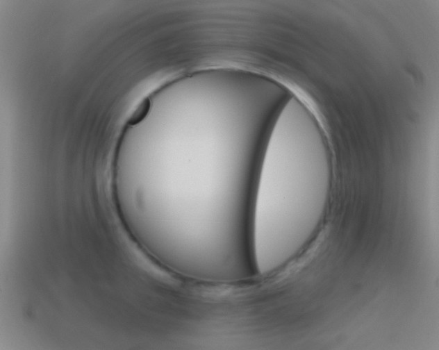 X0000114570949200910191030