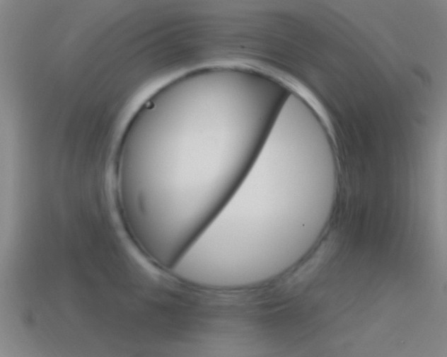 X0000114570951200910191030