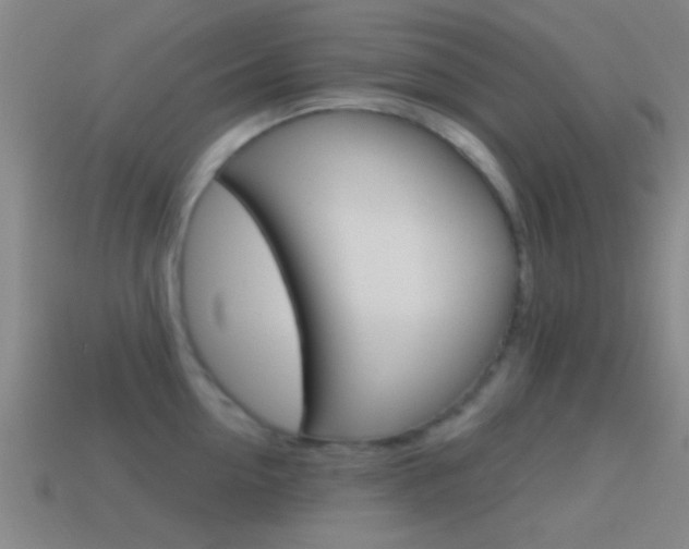 X0000114570954200910191031