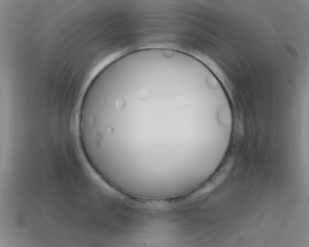 X0000114570957200910191031