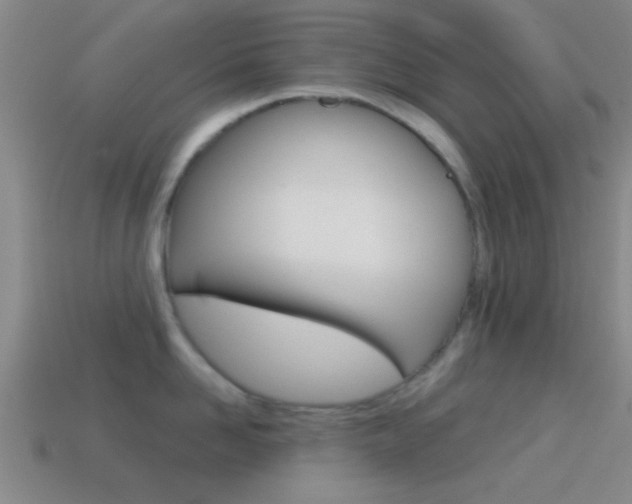 X0000114570958200910191031