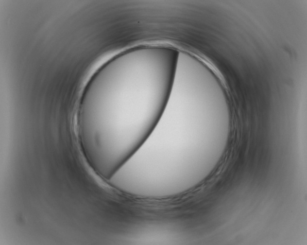 X0000114570959200910191031