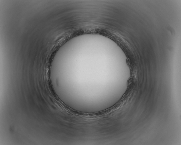 X0000114570964200910191030