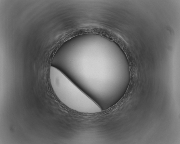 X0000114570965200910191030