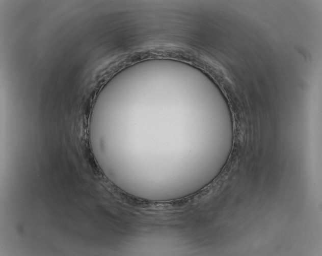 X0000114570966200910191030
