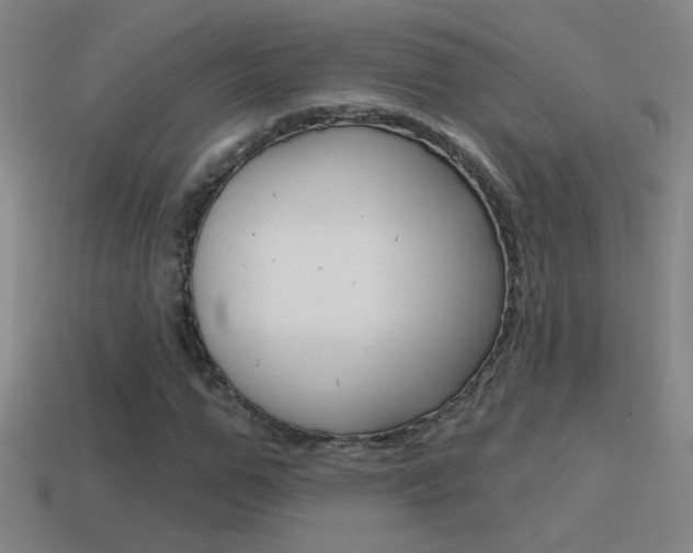 X0000114570967200910191030