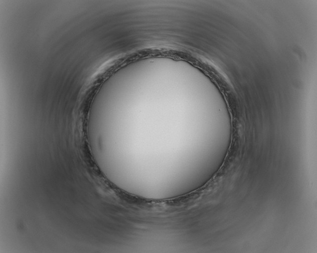 X0000114570968200910191030