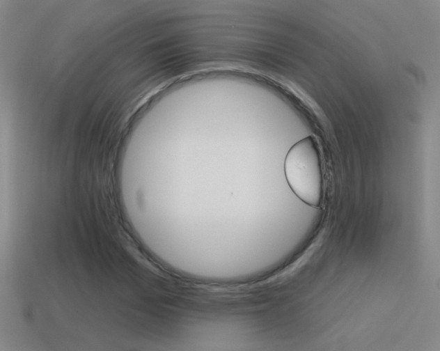 X0000114570969200910191030