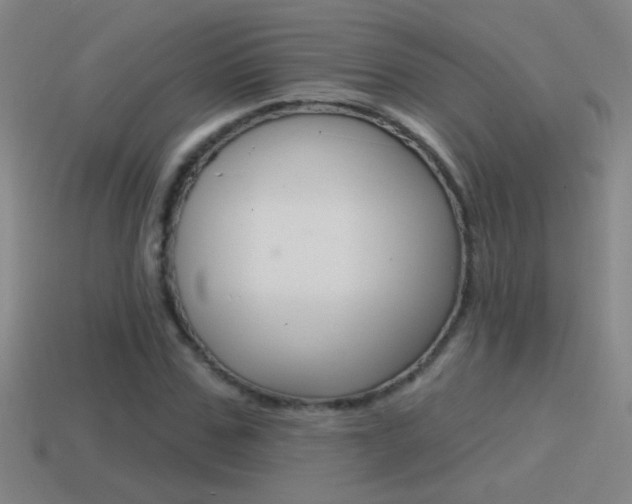 X0000114570971200910191030