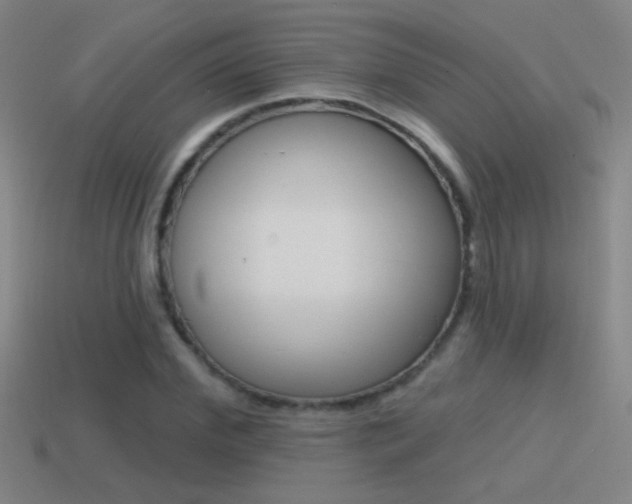 X0000114570972200910191030