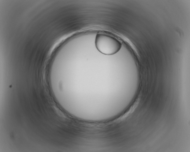 X0000114570973200910191030
