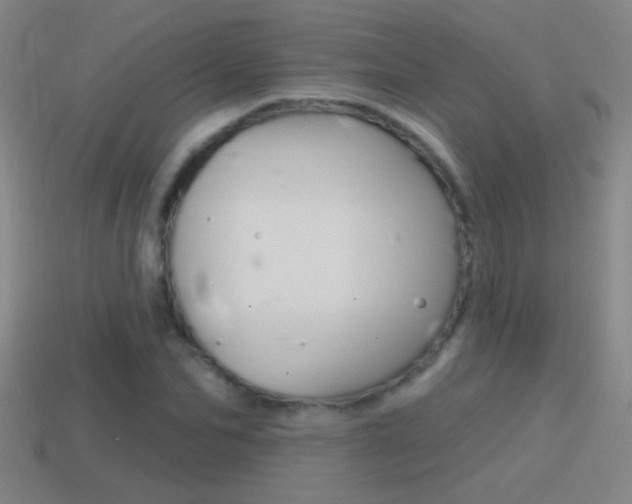 X0000114570974200910191030