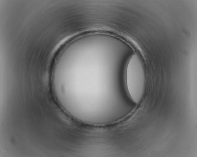 X0000114570975200910191030