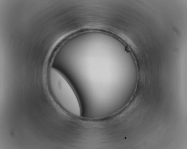 X0000114570976200910191030