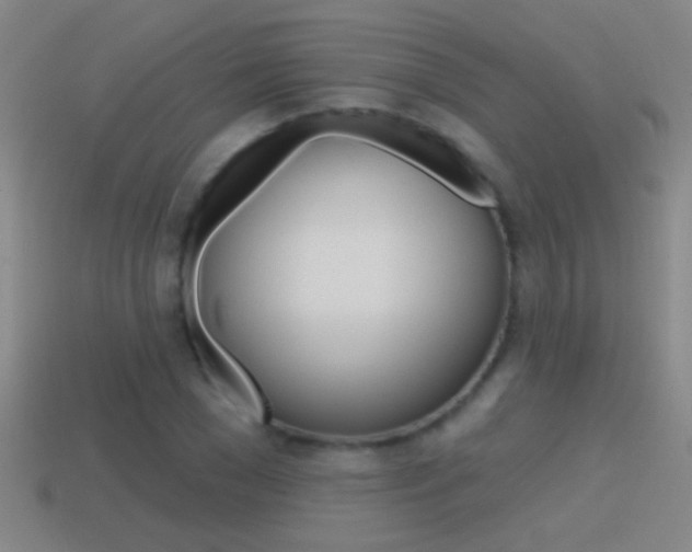 X0000114570977200910191030